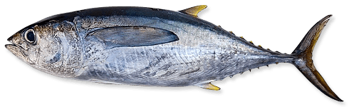 origen de los alimentos