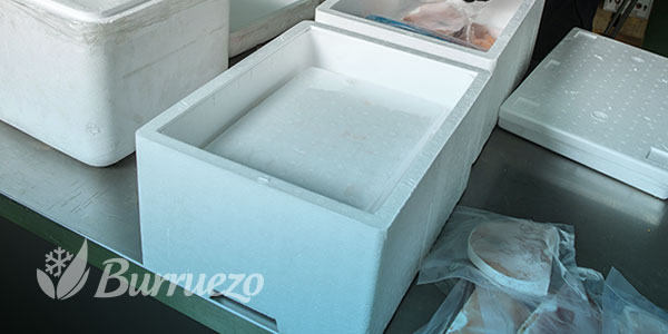 Contenedor de porexpan