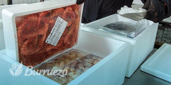 Separacion de los alimentos congelados