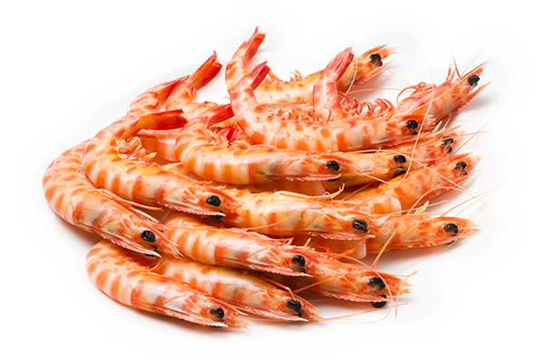 Congelados de calidad