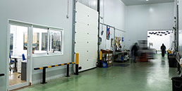 Almacen de Burruezo Congelados