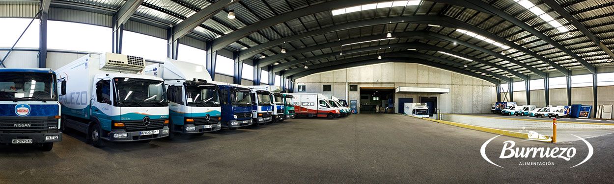 Burruezo empresa de venta de congelados online