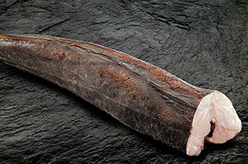 Compra Merluza entera sin cabeza al mejor precio.