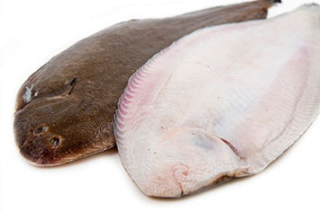 Compra Lenguado tigre al mejor precio.