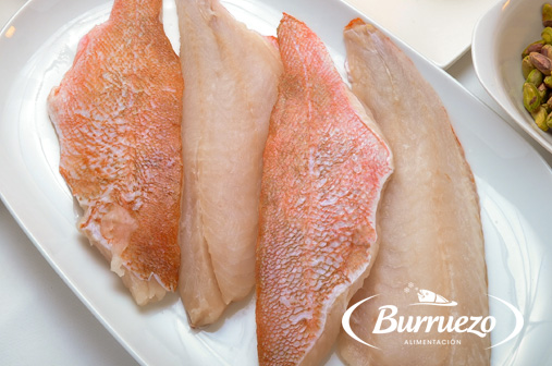 Compra Gallineta al mejor precio.