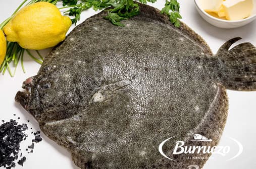 Compra Rodaballo al mejor precio.