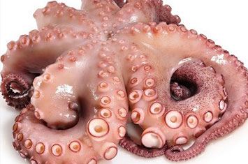 Compra Pulpo limpio 6kg al mejor precio.