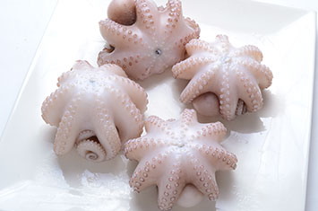 Compra Pulpo roquero al mejor precio.