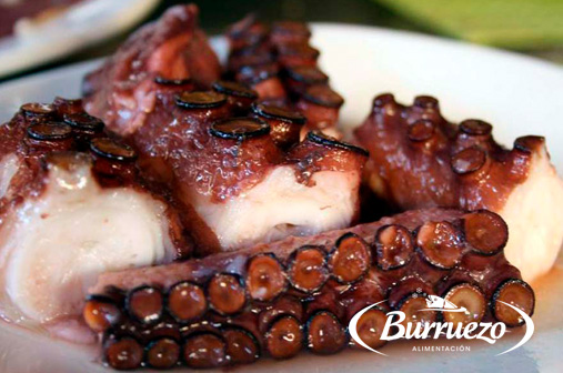 Compra Pulpo limpio 8kg al mejor precio.