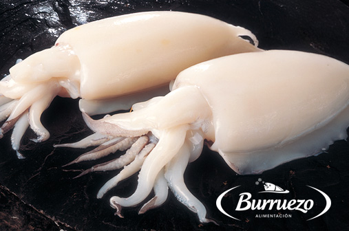 Compra Sepia Limpia grande al mejor precio.