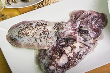 Compra Choco sucio grande al mejor precio.