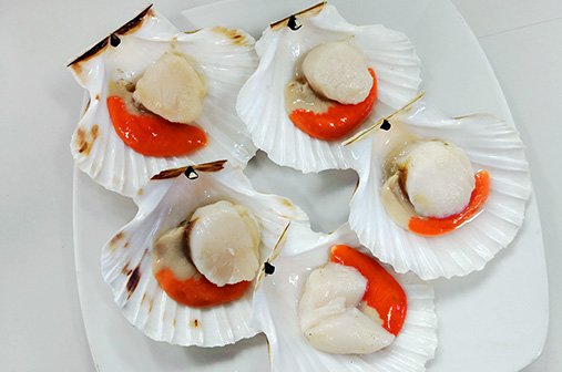 Compra Vieira con concha al mejor precio.