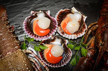 Compra Vieira media concha 20/30 al mejor precio.