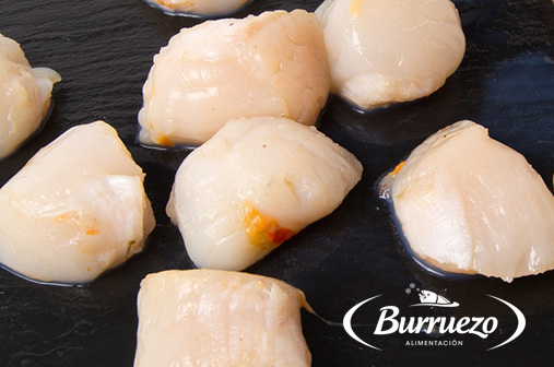 Compra Carne de vieira al mejor precio.