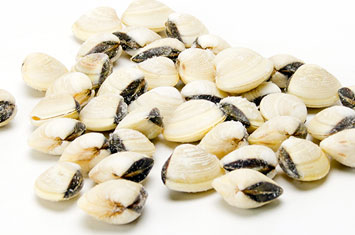 Compra Almejas al mejor precio.