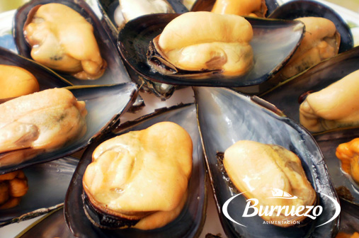 Compra Mejillón media concha al mejor precio.