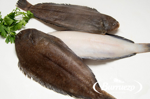 Compra Lenguado al mejor precio.