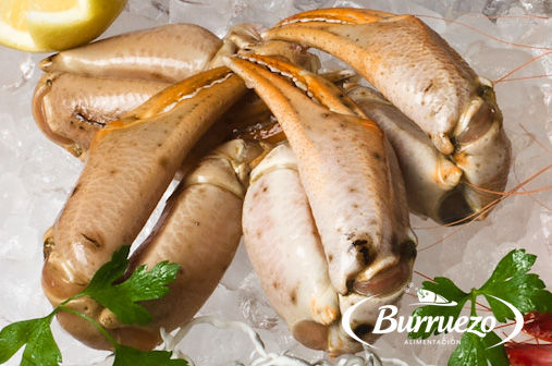 Compra Bocas de Centollo pequeñas al mejor precio.