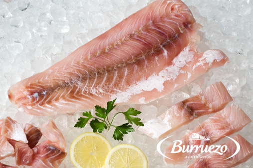 Compra Filete de perca al mejor precio.