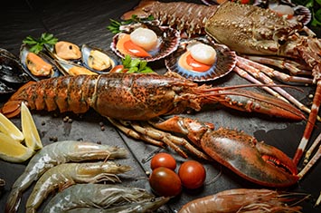 Compra Bogavante canadiense crudo al mejor precio.