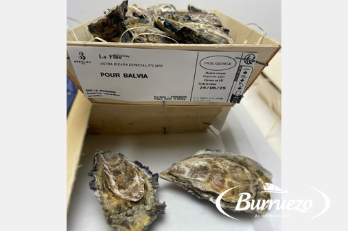 Compra Ostra 2 La Fine al mejor precio.