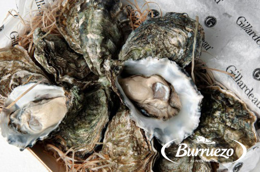 Compra Ostra Gillardeau al mejor precio.