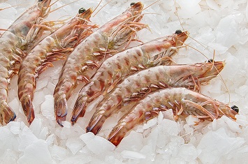 Compra Langostino tigre al mejor precio.