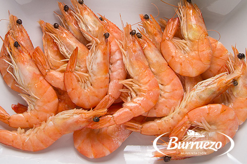 Compra Langostino cocido 30/40 al mejor precio.