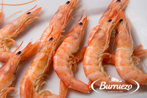 Compra Langostino Cocido 500gr al mejor precio.