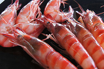 Compra Gamba roja extra al mejor precio.