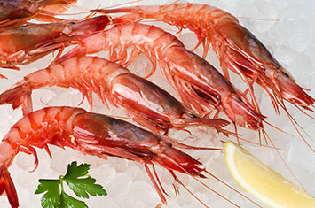 Compra Gamba roja mediana al mejor precio.