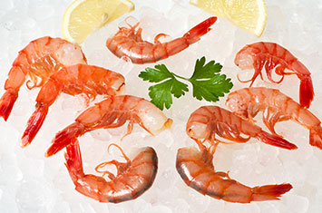 Compra Cola de gamba roja al mejor precio.