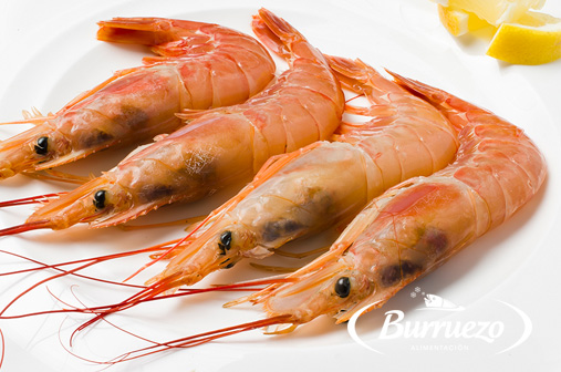 Compra Gambón extra al mejor precio.