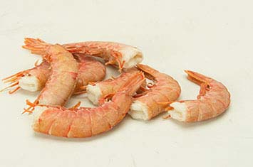 Compra Cola de gambón al mejor precio.