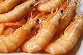 Compra Gamba blanca grande cocida al mejor precio.