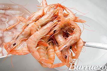 Compra Gamba blanca  mediana cocida al mejor precio.