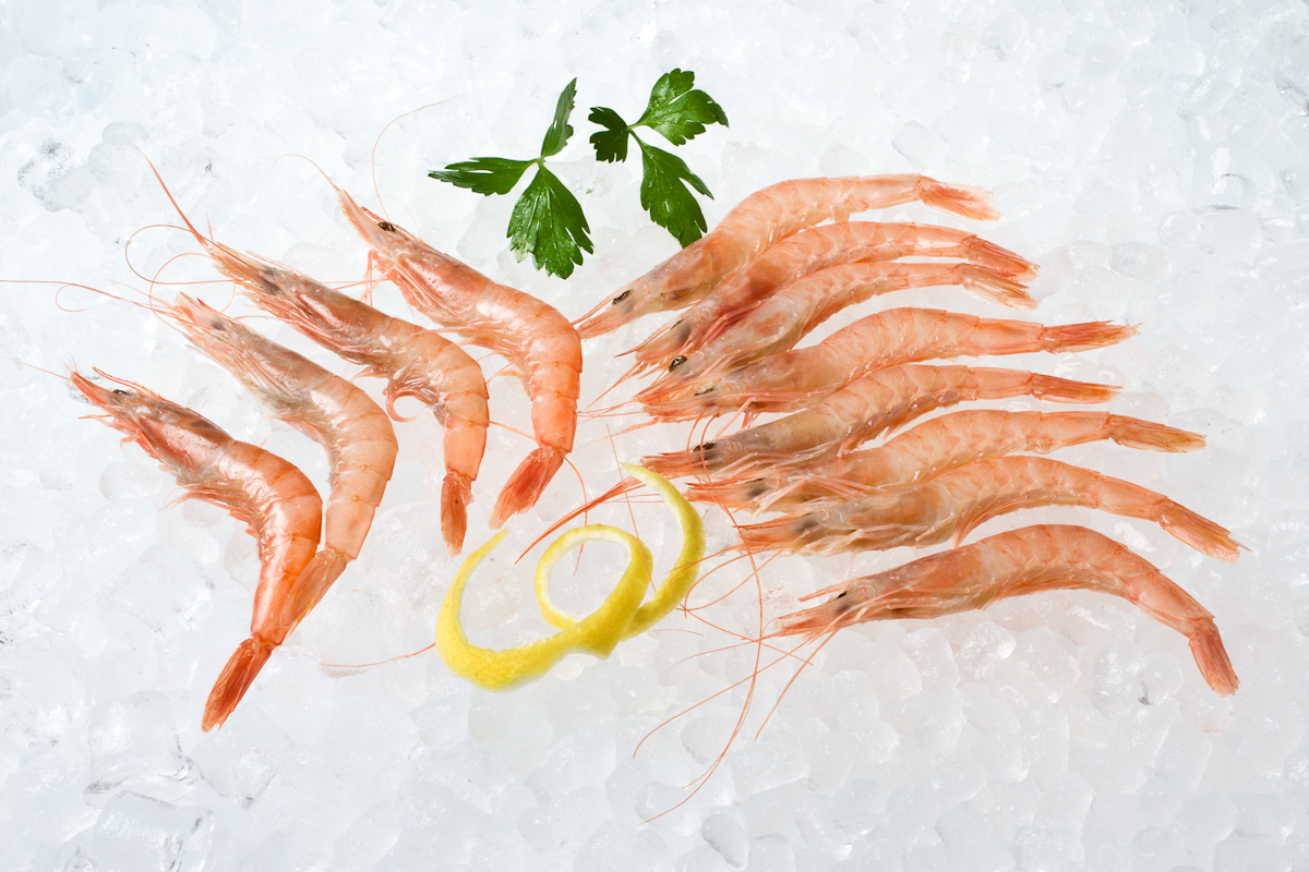 Compra Gamba blanca al mejor precio.