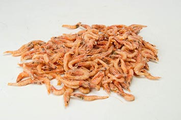 Compra Gamba blanca pequeña al mejor precio.