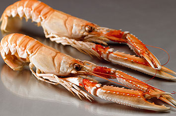 Compra Cigala extra cruda al mejor precio.