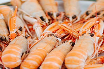 Compra Cigala pequeña cruda al mejor precio.