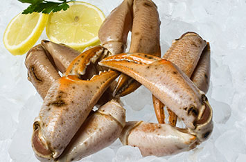 Compra Bocas de centollo grandes al mejor precio.