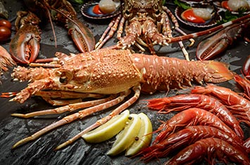 Compra Langosta Roja al mejor precio.
