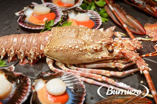 Compra Langosta Roja Superior al mejor precio.