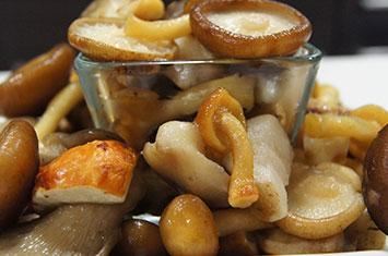 Compra Cóctel de setas al mejor precio.