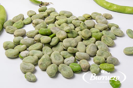 Compra Haba extra al mejor precio.